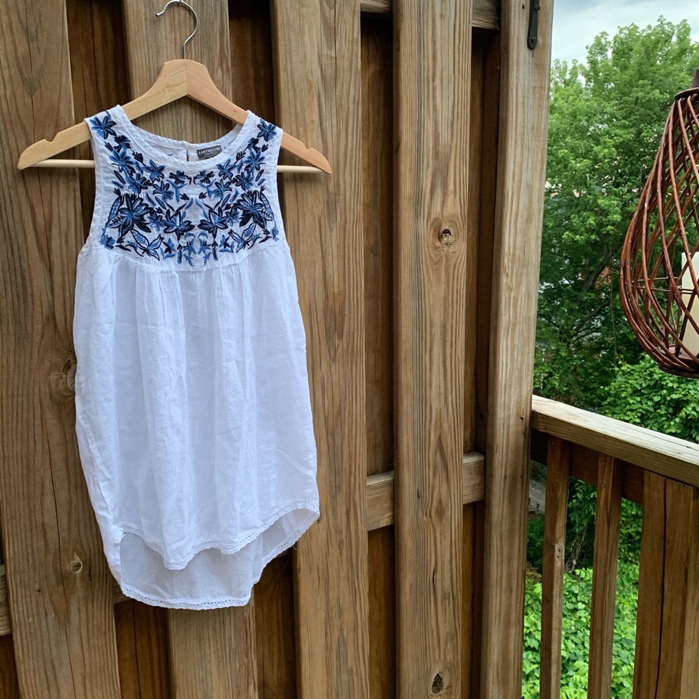 Earthbound Sleeveless Embroidered Semi-Sheer Top